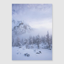 Winterwonderland, mist, sparrenbos en berg