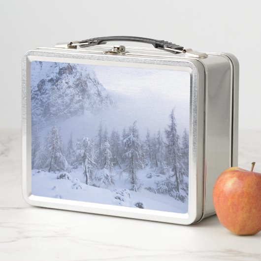 Winterwonderland, mist, sparrenbos en berg (In situ)