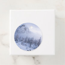 Winterwonderland, mist, sparrenbos en berg