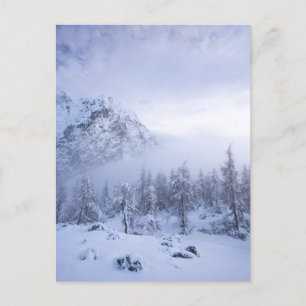 Winterwonderland, mist, sparrenbos en berg briefkaart