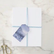 Winterwonderland, mist, sparrenbos en berg