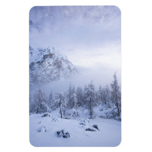 Winterwonderland, mist, sparrenbos en berg magneet