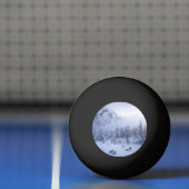 Winterwonderland, mist, sparrenbos en berg pingpongbal (Net)