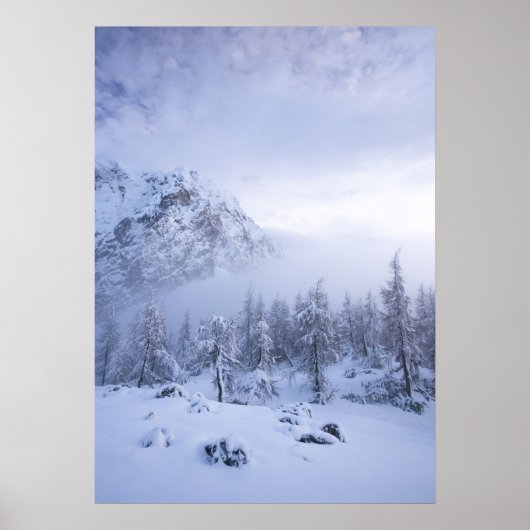 Winterwonderland, mist, sparrenbos en berg poster (Voorkant)