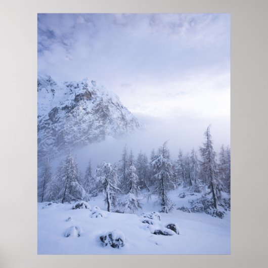 Winterwonderland, mist, sparrenbos en berg poster (Voorkant)