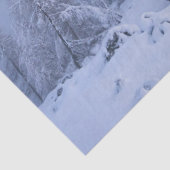 Winterwonderland, mist, sparrenbos en berg tissuepapier (Detail)