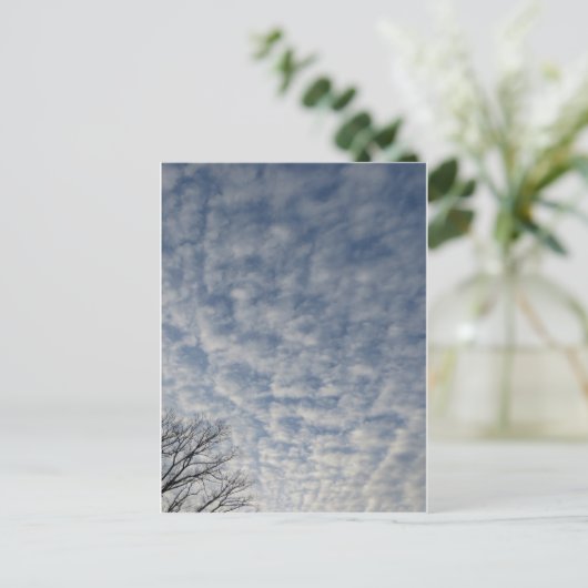 Wintery Clouds Briefkaart (Staand voorkant)