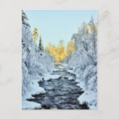 Wintery Stream Briefkaart (Voorkant)