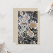 „Winterzauber – Einladung mit vereistem Blatt“ Kaart (Voorkant / Achterkant in situ)