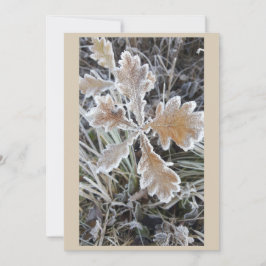 „Winterzauber – Einladung mit vereistem Blatt“ Kaart