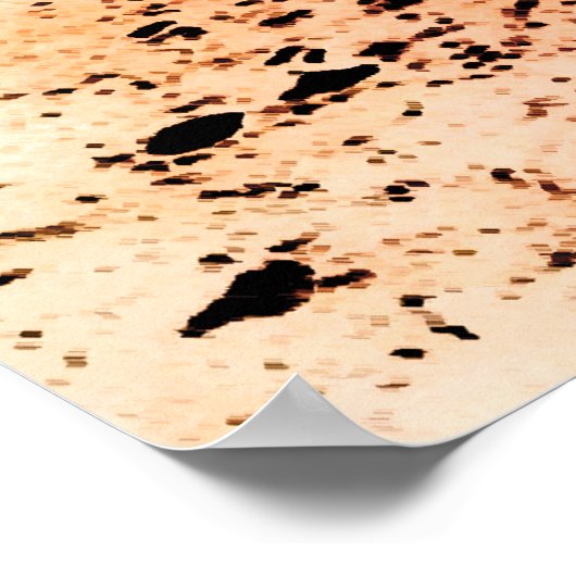 Winterzee Poster (Hoek)