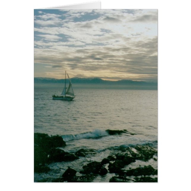 Winterzeilen aan de kust van de Stille Oceaan (Voorkant)