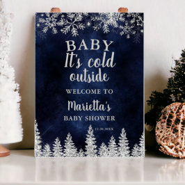 Winterzilveren sneeuwden marine welkom baby shower poster