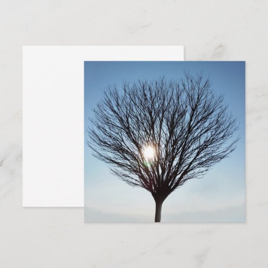 winterzon (Voorkant / Achterkant)