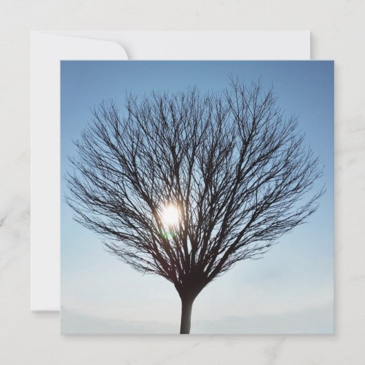 winterzon (Voorkant)