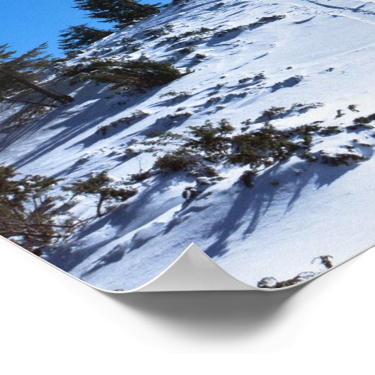 Winterzon 4 poster (Hoek)