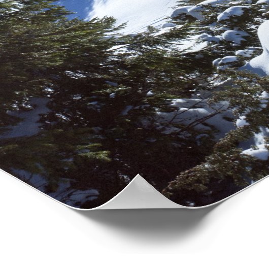 Winterzon 5 poster (Hoek)