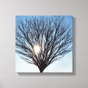 winterzon canvas afdruk