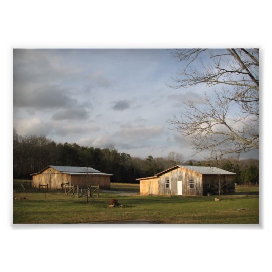 winterzon foto afdruk (Voorkant)