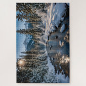 Winterzon in de woestijn legpuzzel (Verticaal)