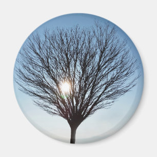 winterzon magneet