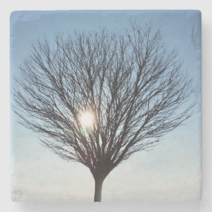 winterzon stenen onderzetter