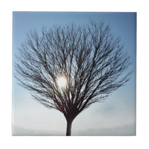 winterzon tegeltje