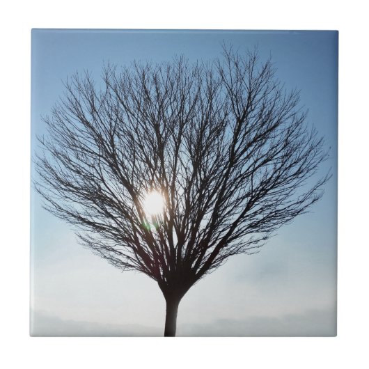 winterzon tegeltje (Voorkant)
