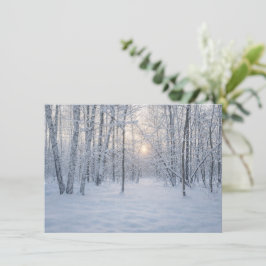 Winterzonlicht in stil berkenbos informatiekaartje
