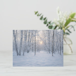 Winterzonlicht in stil berkenbos informatiekaartje