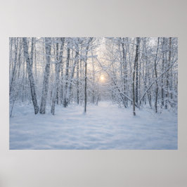 Winterzonlicht in stil berkenbos poster