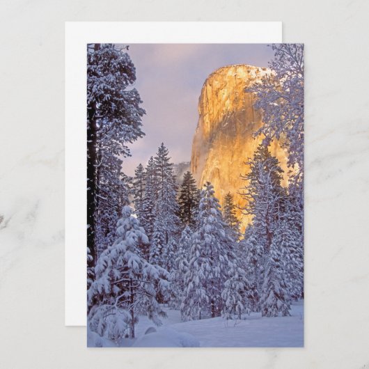 Winterzonlicht op El Capitan bij Yosemite (Voorkant / Achterkant)