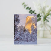 Winterzonlicht op El Capitan bij Yosemite Briefkaart (Staand voorkant)