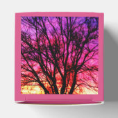 Winterzonneboom - Roze Bedankdoosjes (Bovenkant)
