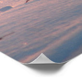 Winterzonnesodig Kat in Corn Field Poster (Hoek)