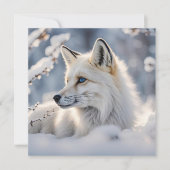 Winterzonnewende  Sneeuwvos Platte Kaart (Voorkant)