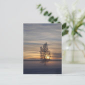 Winterzonsondergang bij Ft. Wainwright Briefkaart (Staand voorkant)