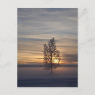 Winterzonsondergang bij Ft. Wainwright Briefkaart