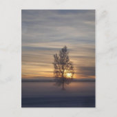 Winterzonsondergang bij Ft. Wainwright Briefkaart (Voorkant)