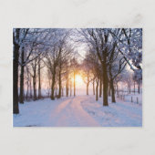 Winterzonsondergang Briefkaart (Voorkant)