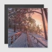 Winterzonsondergang in het dennenbos nabij zee (Voorkant / Achterkant)