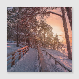 Winterzonsondergang in het dennenbos nabij zee