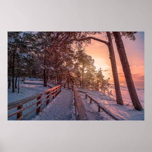 Winterzonsondergang in het dennenbos nabij zee poster (Voorkant)