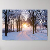 Winterzonsondergang Poster (Voorkant)