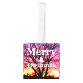 Winterzonsonderste kerstmis decoratie (Voorkant)