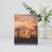 Winterzonsopgang Briefkaart (Staand voorkant)