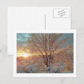 Winterzonsopkomst Briefkaart (Voorkant / Achterkant)