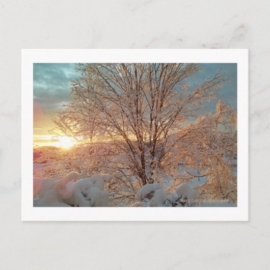 Winterzonsopkomst Briefkaart (Voorkant)
