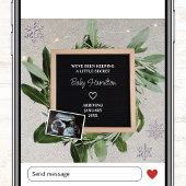 Winterzwangerschap Kleine Geheime Sneeuwvlok Sonog Aankondiging