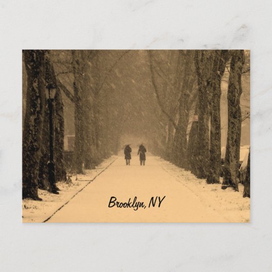 Wintry Brooklyn Briefkaart (Voorkant)